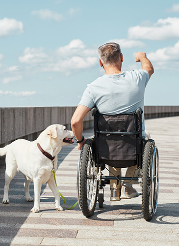 Image of a man in a wheelchair with a dog